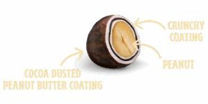 Peanut with crunchy coating and cocoa dusted peanut butter coating.