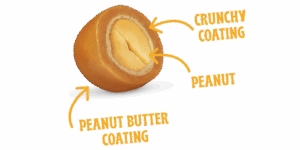 Peanut coated with a crunchy coating and then a peanut butter coating